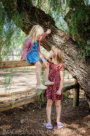 BBQ_2025-47_MG_8390