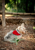 BBQ_2025-1376FU3A2497