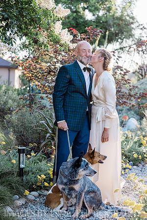 A+P-5662