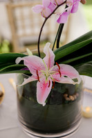 A_Beverly_355_2171