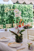 A_Beverly_351_2165