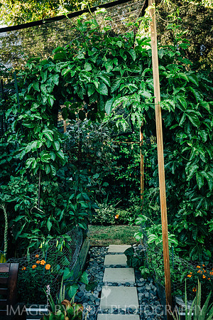 Garden_dinner_27JUL-4611