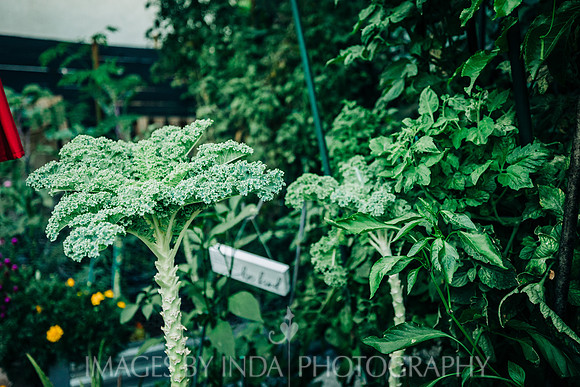 Garden_dinner_27JUL-4614