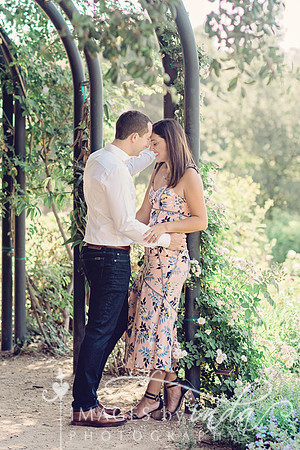 FAVS_1441