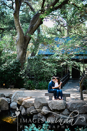 FAVS_1498 copy