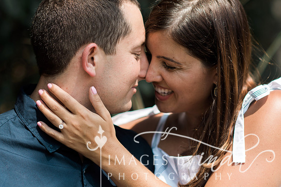 FAVS_1707 copy