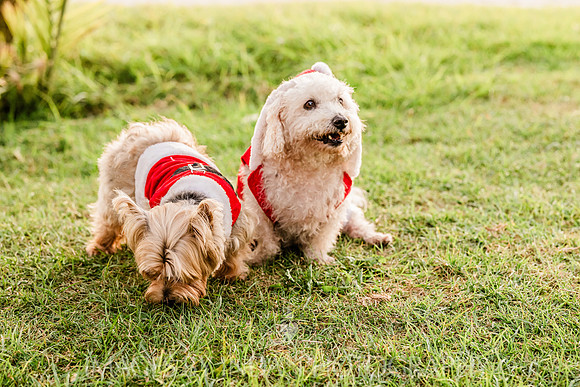 Family_Shoots-1309