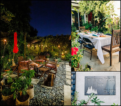 Garden_dinner_27JUL-4838_WEB