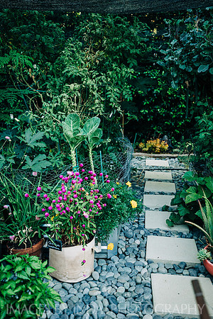 Garden_dinner_27JUL-4603