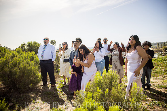 Liz+Ramon_6380-2