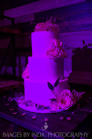 Ariana_-962