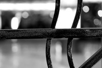 LR-sonyDSC06888