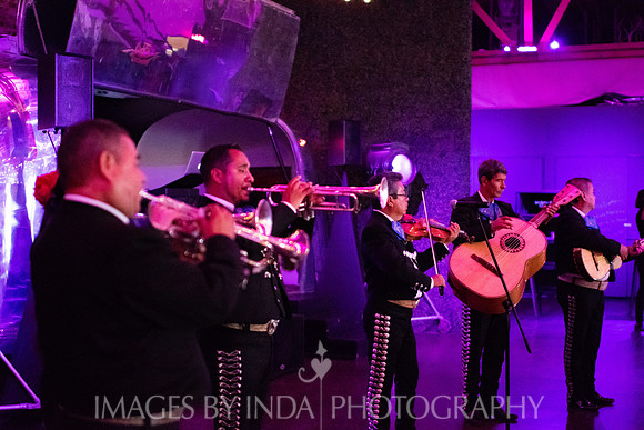 Ariana_-1137