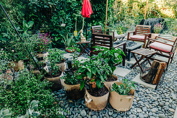 Garden_dinner_27JUL-4649