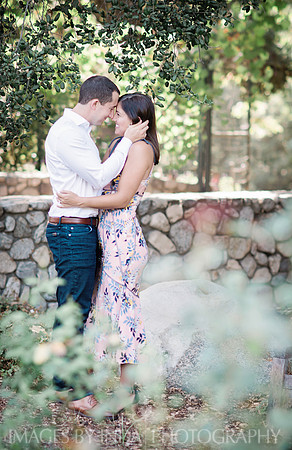 FAVS_1457