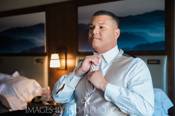 LR_0337