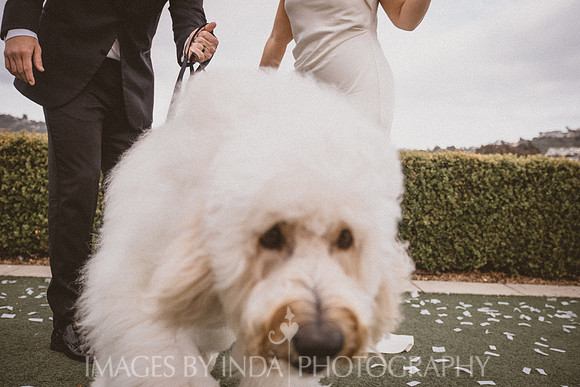 Kristen+Matt_449-3827