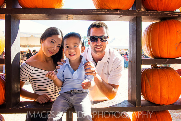 DSC_2848-sat