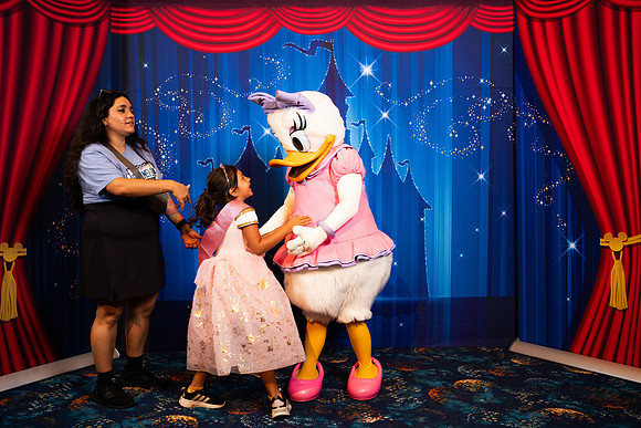 Daisy_05802