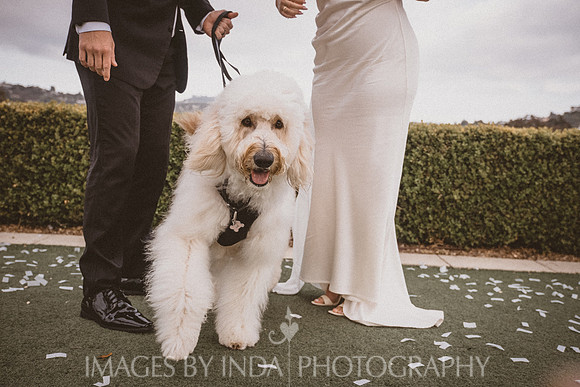 Kristen+Matt_450-3822